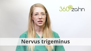 Nervus trigeminus  Was ist der Nervus trigeminus  DentalLexikon  360°zahn [upl. by Daney]