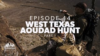 Its over 90 degrees and were looking for sheep  Ep 44  West Texas Aoudad Hunt [upl. by Jermain887]