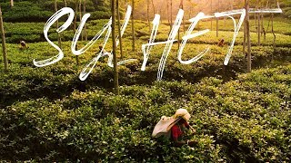 Wonder Of Sylhet  Beautiful Bangladesh Travel Film [upl. by Cul]