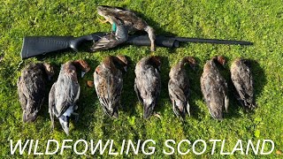 Wildfowling  Scottish Foreshore [upl. by Hanser280]