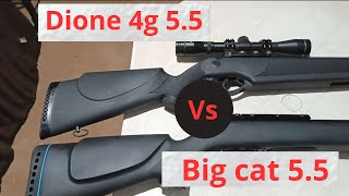 rossi Dione 4g vs gamo big cat opinião sincera de usuário  gás ram carabina de pressão [upl. by Sgninnej]