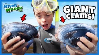 Kids catch GIANT CLAMS and NINJA CRABS [upl. by Samul]