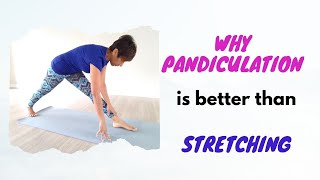 PandiculationThe difference between a stretch and pandiculation A somatic movement guide [upl. by Eselahs844]