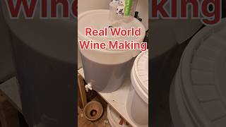 Real World Wine Making [upl. by Yrdua]