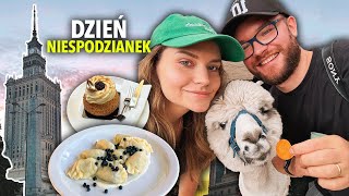 WARSZAWA VLOG niespodzianki dla Maćka przez cały dzień Najlepsze pierogi z jagodami i alpaki [upl. by Mannie454]