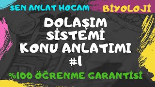 DOLAŞIM SİSTEMİ KONU ANLATIMI 1  AÇIK  KAPALI KAN DOLAŞIMI  AYT BİYOLOJİ  ✅ [upl. by Yecats]