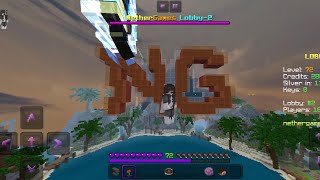 soo i made a guild in NetherGames no longer joinable [upl. by Ahsaeym]