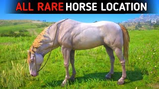 All 14 Rare Horse Locations  RDR2 [upl. by Yaluz472]