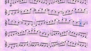 Wohlfahrt Op 45 Violin Etude no 48 ♩60 [upl. by Anassor645]