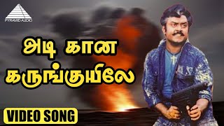 அடி கான கருங்குயிலே HD Video Song  Poonthotta Kaavalkaaran  Vijayakanth  Ilaiyaraaja [upl. by Aisatna]