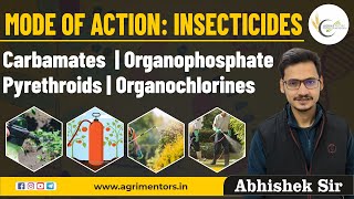 Mode of Action Insecticides  Carbamates  Organophosphate  Pyrethroids  Organochlorines [upl. by Guss]