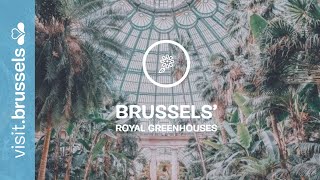 Brussels Royal Greenhouses of Laeken [upl. by Nerraj808]