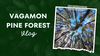 Exploring pine forest of vagamon  vagamon pineforest travellover travel biker destination [upl. by Phonsa326]