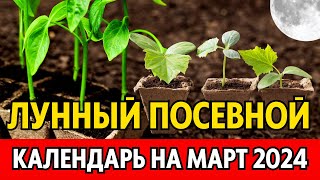 Когда сеять на рассаду в МАРТЕ 2024 Точный лунный посевной календарь на март 2024 по дням [upl. by Fraze581]