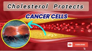 Cholesterol Protects Cancer Cell  Cell Signalling  Lipid Rafts  Hormone  Immune Response cancer [upl. by Sitruk29]