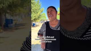 Hablando nuestra lengua materna se llama Mixteco de Oaxaca Mexico 🇲🇽 mexicano oaxaca mixteco [upl. by Wilfreda]