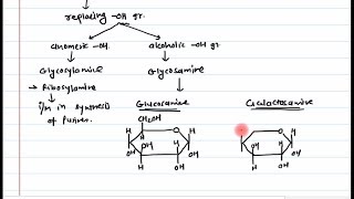 12 Sugar derivatives Part 1 [upl. by Rawdan]