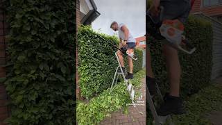 Carpinus hedge trim with Stihl HSA100 via poelonline stihl hovenier hedgetrimming howto [upl. by Yehudi599]