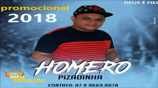 HOMERO PIZADINHA 2018  COMPLETO [upl. by Eeral]