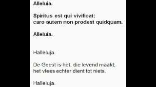 Spiritus est qui vivificat 21ste Zondag door het jaar Alleluia B [upl. by Gerrard148]