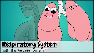 Respiratory System [upl. by Naivaf4]