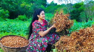 Authentic Sri Lankan Peanuts Galore 🥜 Making Caramelized Chikki Durian Crepe Cake ampEasy Watalappan [upl. by Quickel186]