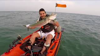 Two KingMackerel Kayak Jigging by Saad Alqashaan  جقنق كاياك جنعدتين صيد سعد القشعان [upl. by Ahsil]