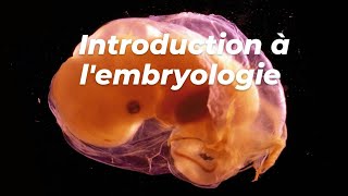 INTRODUCTION A LEMBRYOLOGIE [upl. by Ferrel61]