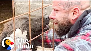 Guy Rescues Hundreds Of Dogs From City Shelters  The Dodo [upl. by Rabah]