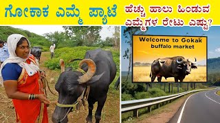 Buffaloes and bargains  Inside stories of Gokak buffalo market [upl. by Ydde]