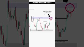 Crypto Advance Price Action Trading  Liquidity Trading Strategy  Day Trading  trading crypto [upl. by Einohpets]