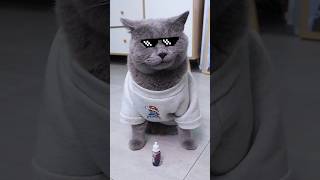 Amazing😲 Magic Potion Makes Anything Bigger✨🧪 funnycat catmemes trending [upl. by Sidonnie]