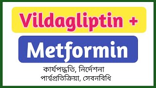 Vildagliptin and Metformin এর কাজ কি  GalvusMet 50500mg খাওয়ার নিয়ম  Viglimet 50850mg tablet [upl. by Haleemak598]