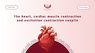 Physiology  The heart cardiac muscle contraction and excitation contraction coupling [upl. by Whatley624]