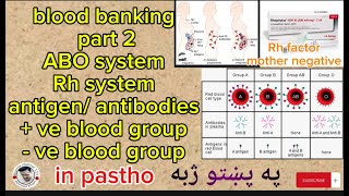 RH system ABO system  blood banking part 2Rh mother negative rhesus incompatible in pastho [upl. by Hazmah925]