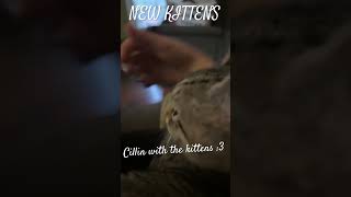 Cillin with the kittens NEW CATS [upl. by Einaffets693]