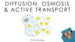 Diffusion Osmosis amp Active Transport  Biology full version [upl. by Caines]