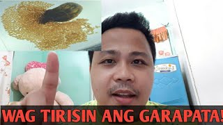 BAKIT BAWAL TIRISIN ANG GARAPATA NG ASOHONEST VLOG [upl. by Antipas]