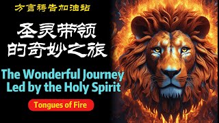 跟随圣灵的脚步：方言祷告带你进入奇妙之旅！The Wonderful Journey Led by the Holy Spirit ！方言祷告烈火方言方言祷告加油站 [upl. by Ymrots]