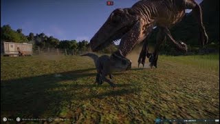 Microceratus DLC Showcase Jurassic World Evolution 2 [upl. by Ayekam]