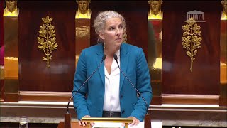 Retour en France de néonicotinoïdes  Delphine Batho saisit le conseil constitutionnel [upl. by Brucie]