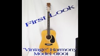 A Look at the Harmony Model 01001 Acoustic Guitar [upl. by Epuladaugairam148]