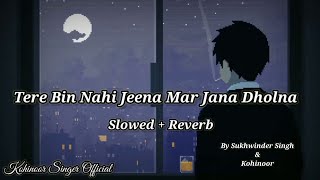 Tere Bin Nahi Jeena Mar Jana Dholna  Slowed Reverb  Kachche Dhaage  Sukhwinder Singh  Lofi Song [upl. by Martyn]