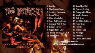 PIG DESTROYER  Prowler in the Yard Full Remastered Album Stream [upl. by Hendrik]