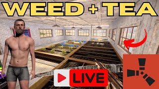 RUST LIVE  Tea Farm on the NEW Lake part 5NO COMMENTARY [upl. by Ailadi]