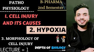 cell injury  causes of cell injury  pathogenesis  cell membrane damage  nuclear damage  hypoxia [upl. by Sherie800]