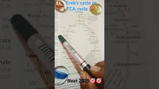 TCA or krebs cycle important for neet exam neet2025biology🎯🎯💯💯🥰🥰🥰 [upl. by Richards]