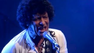 MUNGO JERRY  BERLIN LIVE TRAILER  ARTE TV CONCERT [upl. by Aimerej]