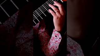 Capriccio n5 N Paganini guitar [upl. by Lindie281]