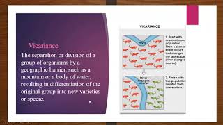 Zoogeography history Branches [upl. by Callahan634]